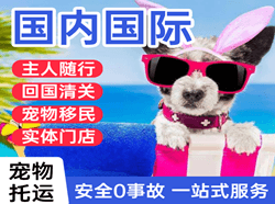 屯溪航空空运国际宠物托运 【国